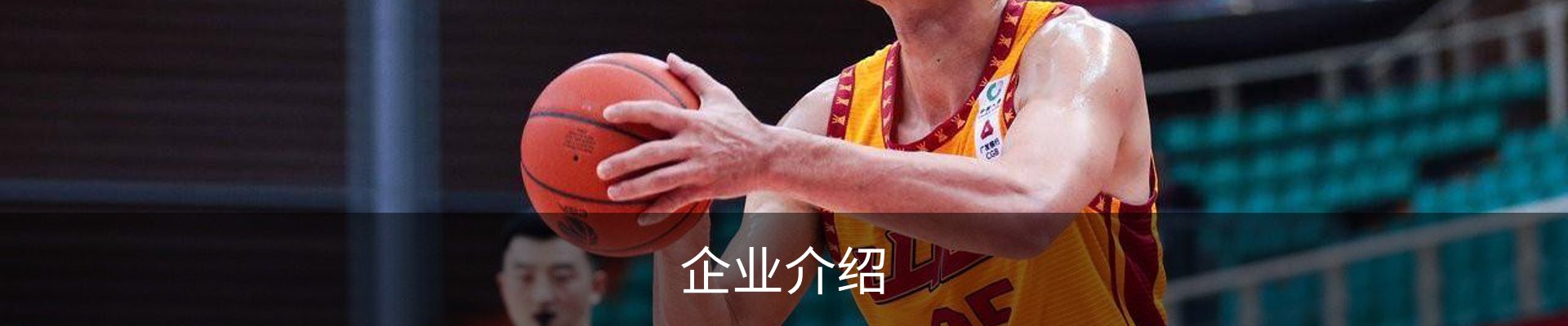 企业介绍